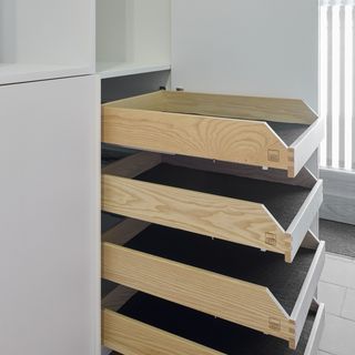 Holzauszug